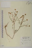 登錄號:S138182藏品圖，第1張