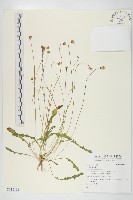 登錄號:S138193藏品圖，第1張