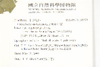 薺藏品圖，第2張