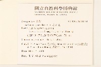 小米菊藏品圖，第2張