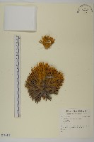 登錄號:S138413藏品圖，第1張