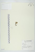 登錄號:S138425藏品圖，第1張