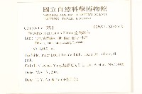 臺灣款冬藏品圖，第2張