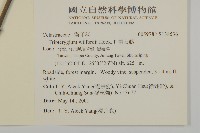 雷公藤藏品圖，第5張