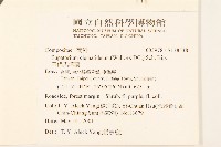 田代氏澤蘭藏品圖，第2張