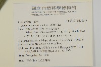 臺灣馬蘭藏品圖，第2張