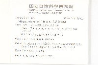 山豬枷藏品圖，第2張