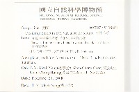 南國小薊藏品圖，第2張