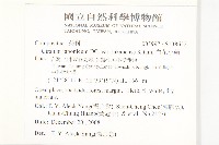 白花小薊藏品圖，第2張