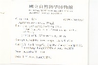 霍香薊藏品圖，第2張