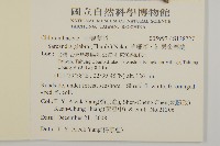 草珊瑚、紅果金粟蘭藏品圖，第2張