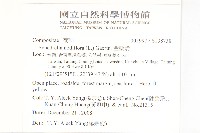 金腰箭藏品圖，第2張