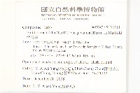 紫背草藏品圖，第2張