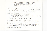 田代氏澤蘭藏品圖，第2張