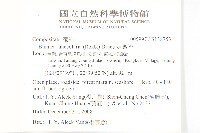 走馬胎藏品圖，第6張