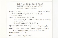 香澤蘭、飛機草藏品圖，第2張