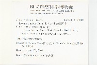 銳葉牽牛藏品圖，第2張