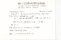 倒吊蓮、匙葉燈籠草藏品圖，第2張