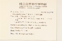 小花蔓澤蘭藏品圖，第2張