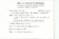 倒吊蓮、匙葉燈籠草藏品圖，第2張