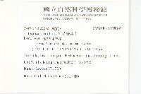 紅花野牽牛藏品圖，第2張