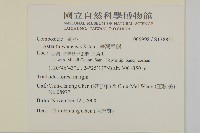 臺灣馬蘭藏品圖，第2張