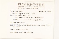 一枝香藏品圖，第2張