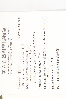 山紅柿藏品圖，第2張