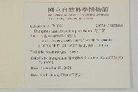 大丁黃藏品圖，第2張