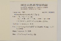 艾納香藏品圖，第2張