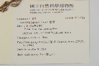 牡蒿藏品圖，第2張