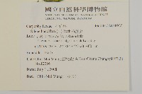 狗筋蔓藏品圖，第2張