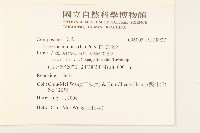 白頂飛蓬藏品圖，第2張