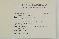 卷耳藏品圖，第2張