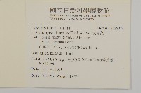 女婁菜藏品圖，第2張