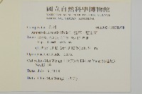 豬草、瘤果菊藏品圖，第2張