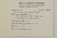 琴葉紫菀藏品圖，第2張