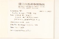 苦滇菜、苦菜藏品圖，第2張