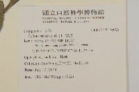 鱧腸藏品圖，第2張