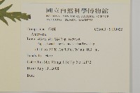 登錄號:S139035藏品圖，第2張
