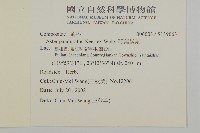 琴葉紫菀藏品圖，第2張