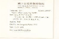 雙花蟛蜞菊藏品圖，第2張