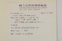 纓絨花藏品圖，第2張