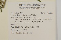 黃金珠藏品圖，第2張