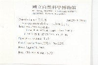 短梗土丁桂藏品圖，第2張