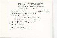 短梗土丁桂藏品圖，第2張