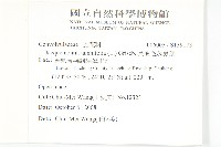 長梗毛娥房藤藏品圖，第2張