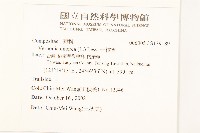 一枝香藏品圖，第2張