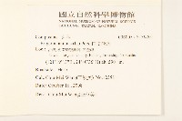 白頂飛蓬藏品圖，第2張