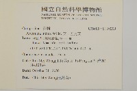 南毛蒿藏品圖，第2張